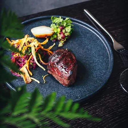 Wasa Historical 1938 Boutique Hotel Parnu